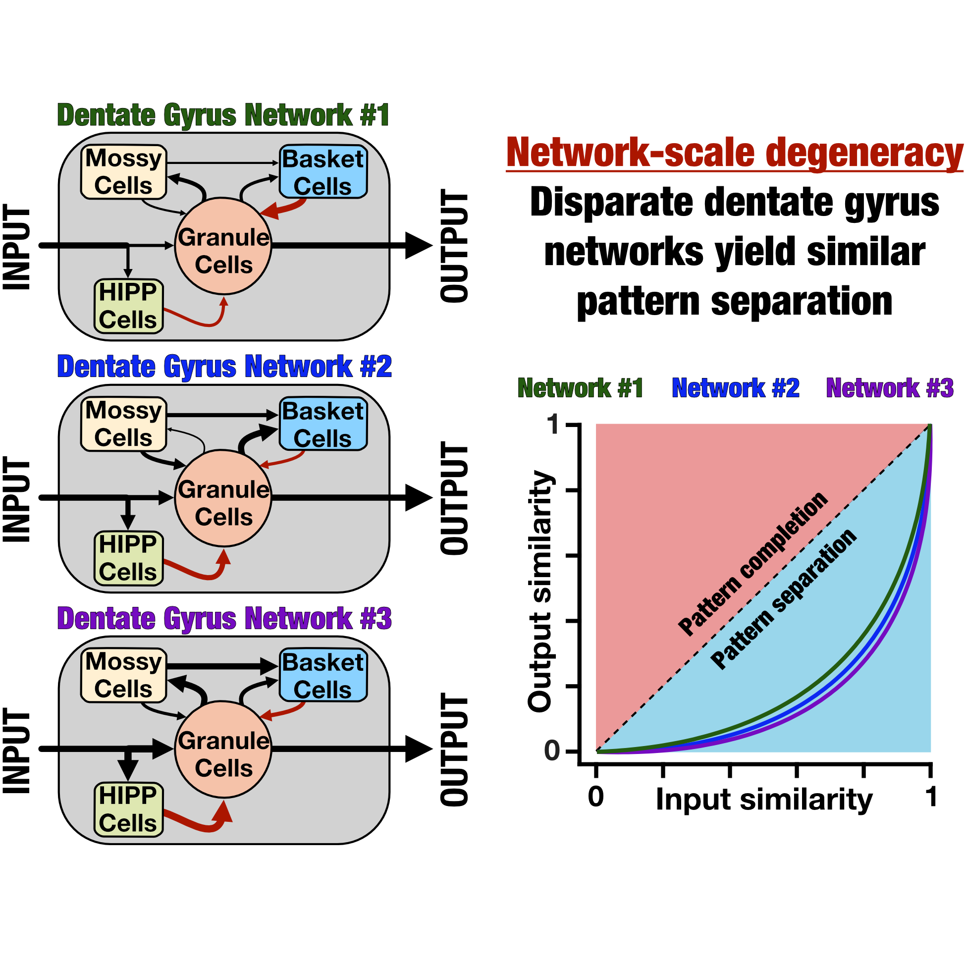 DG Pattern Separation
