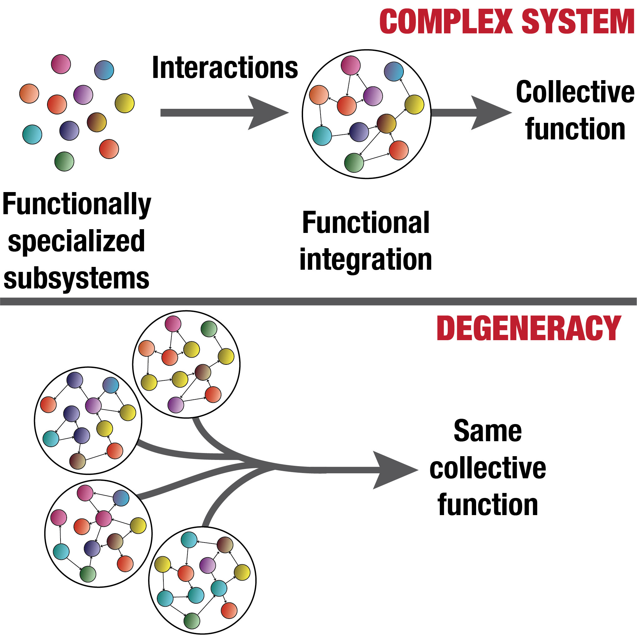 Degeneracy Symposium Review