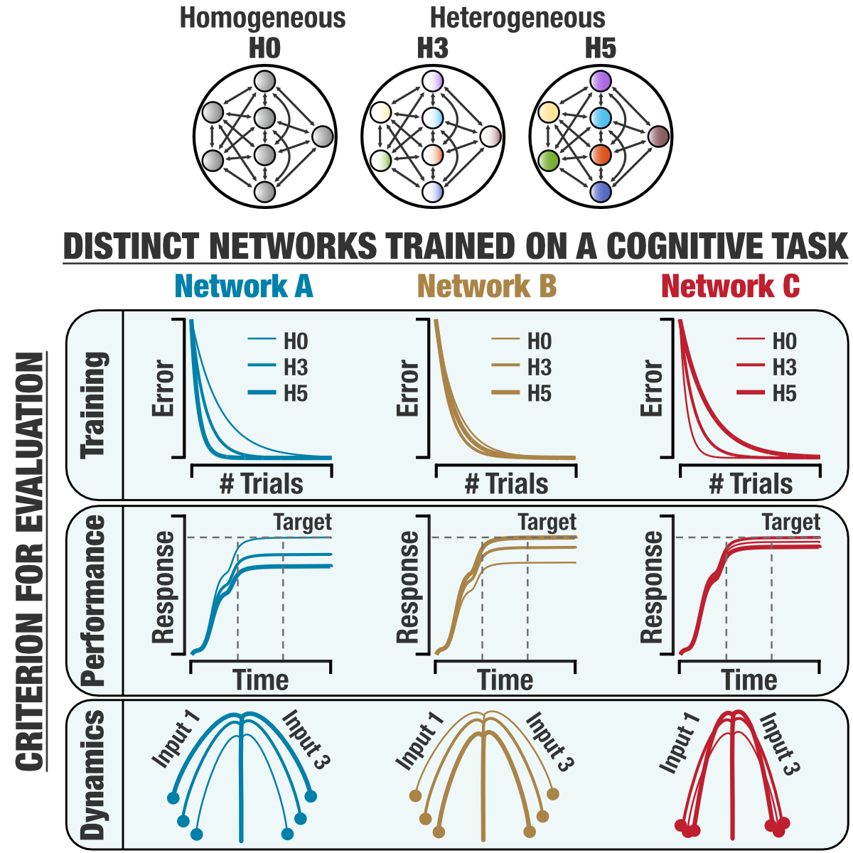 Diverse impact of heterogeneities