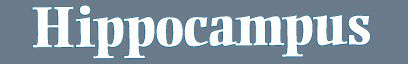 JNP LOGO